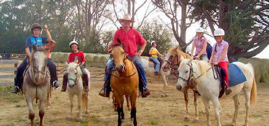 Hepburn Trail Rides ready-to-go 550x285 Hepburn Trail Rides ready-to-go 550x285